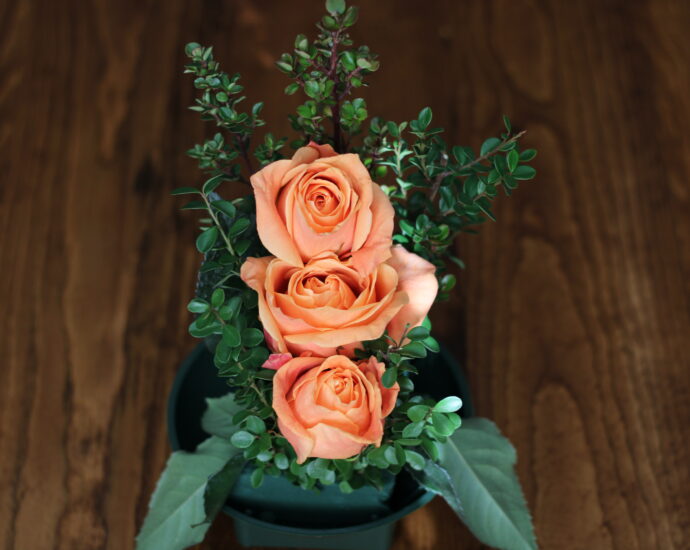 yellow, peach, orange rose arrangement that follow the American Rose Society guidelines for a straight-line design.