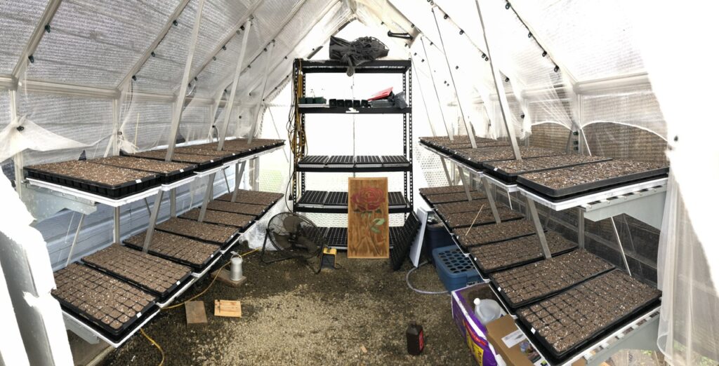 A greenhouse with seed trays