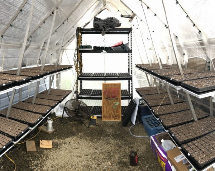 A greenhouse with seed trays